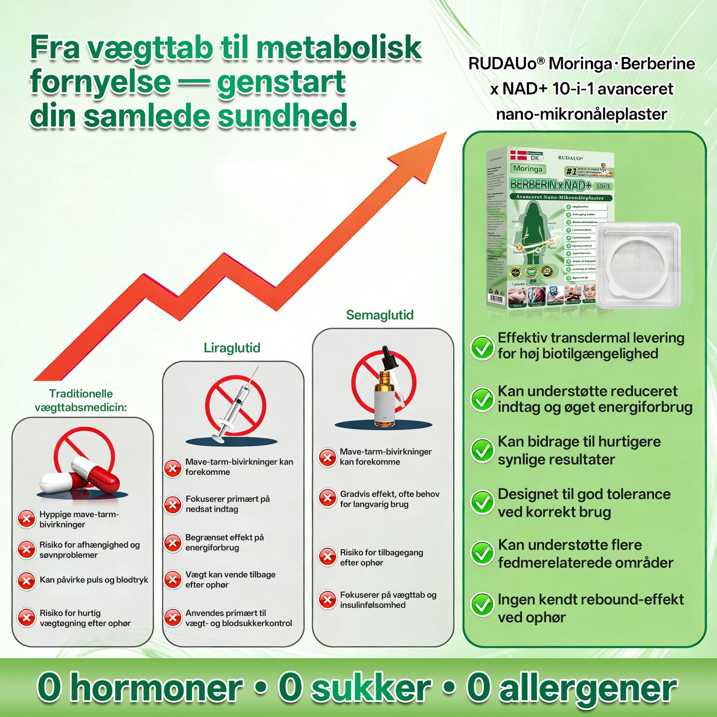 Lægeudviklet🇩🇰 | RUDAUO® Opgraderet Stor Dække 10-i-1 Nano Mikronåleplaster (Se mærkbare resultater allerede efter 7 dage